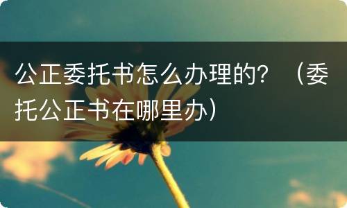 公正委托书怎么办理的？（委托公正书在哪里办）