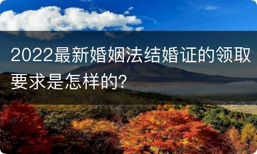 2022最新婚姻法结婚证的领取要求是怎样的？