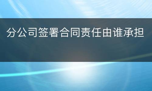 分公司签署合同责任由谁承担