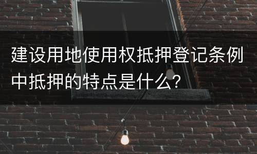 建设用地使用权抵押登记条例中抵押的特点是什么？