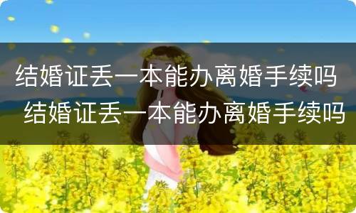 结婚证丢一本能办离婚手续吗 结婚证丢一本能办离婚手续吗北京