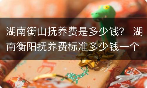 湖南衡山抚养费是多少钱？ 湖南衡阳抚养费标准多少钱一个月