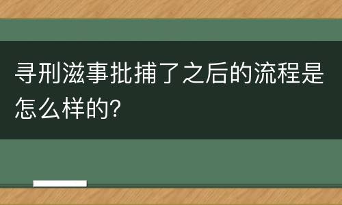 寻刑滋事批捕了之后的流程是怎么样的？