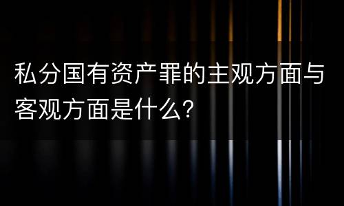 私分国有资产罪的主观方面与客观方面是什么？