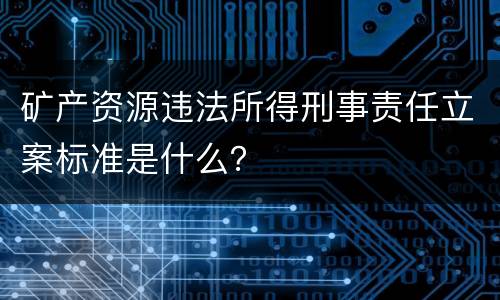 矿产资源违法所得刑事责任立案标准是什么？