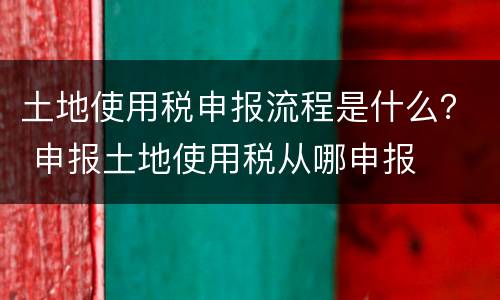 土地使用税申报流程是什么？ 申报土地使用税从哪申报