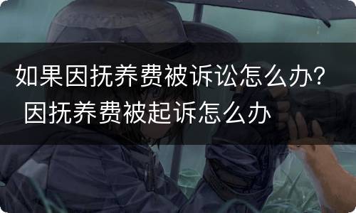 如果因抚养费被诉讼怎么办？ 因抚养费被起诉怎么办