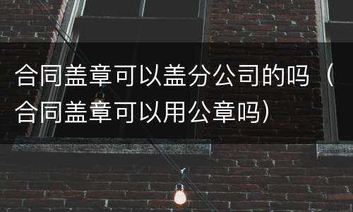 合同盖章可以盖分公司的吗（合同盖章可以用公章吗）