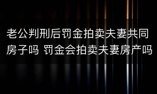 老公判刑后罚金拍卖夫妻共同房子吗 罚金会拍卖夫妻房产吗