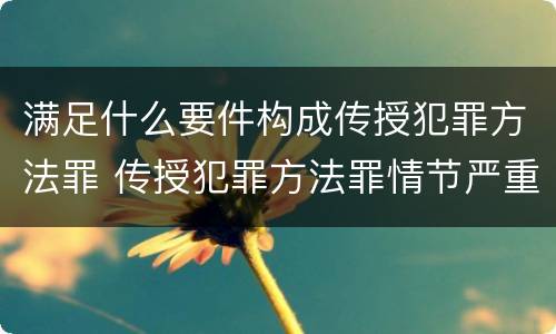 满足什么要件构成传授犯罪方法罪 传授犯罪方法罪情节严重的解释有吗