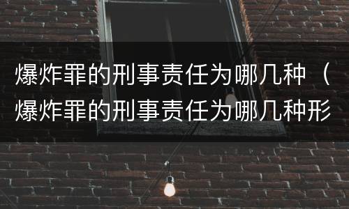 爆炸罪的刑事责任为哪几种（爆炸罪的刑事责任为哪几种形式）