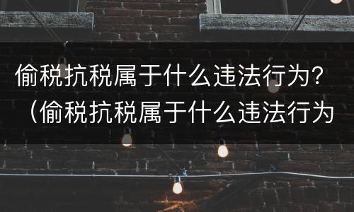 偷税抗税属于什么违法行为？（偷税抗税属于什么违法行为类型）