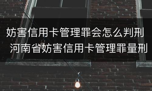 妨害信用卡管理罪会怎么判刑 河南省妨害信用卡管理罪量刑标准