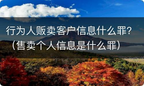 行为人贩卖客户信息什么罪？（售卖个人信息是什么罪）