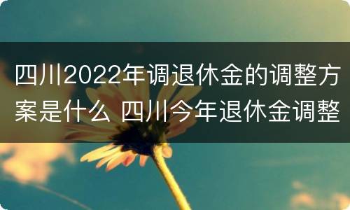 四川2022年调退休金的调整方案是什么 四川今年退休金调整方案