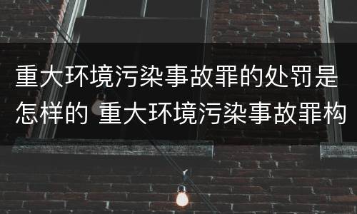 重大环境污染事故罪的处罚是怎样的 重大环境污染事故罪构成要件