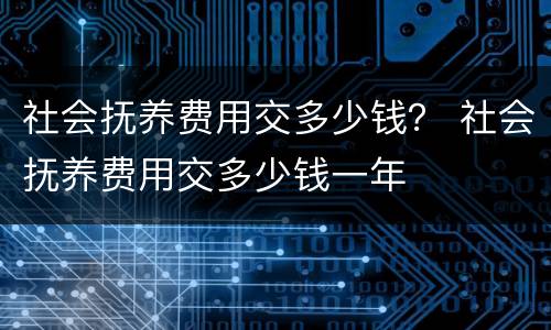 社会抚养费用交多少钱？ 社会抚养费用交多少钱一年