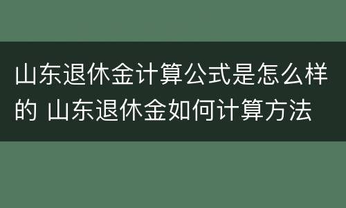 山东退休金计算公式是怎么样的 山东退休金如何计算方法