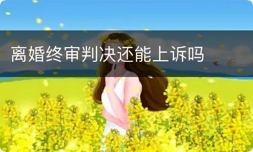 离婚终审判决还能上诉吗