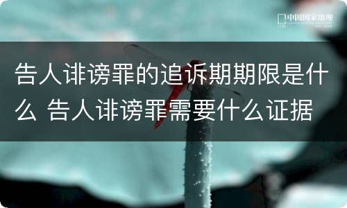 告人诽谤罪的追诉期期限是什么 告人诽谤罪需要什么证据