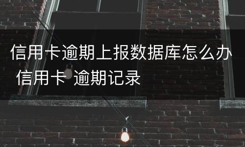 信用卡逾期上报数据库怎么办 信用卡 逾期记录