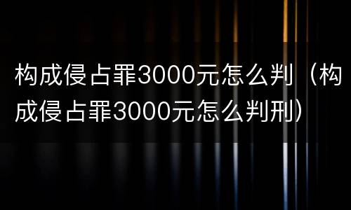 构成侵占罪3000元怎么判（构成侵占罪3000元怎么判刑）