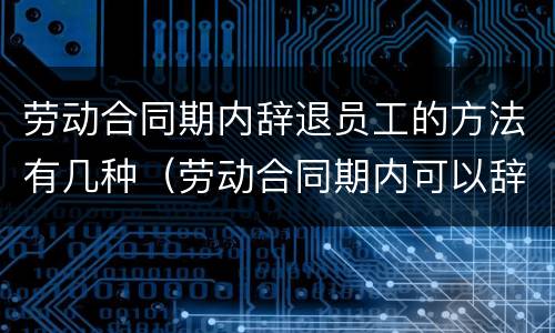 劳动合同期内辞退员工的方法有几种（劳动合同期内可以辞退员工吗）