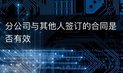 分公司与其他人签订的合同是否有效