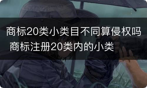 商标20类小类目不同算侵权吗 商标注册20类内的小类