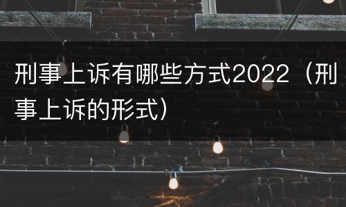 刑事上诉有哪些方式2022（刑事上诉的形式）