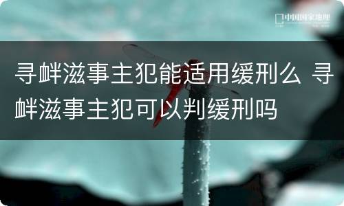 寻衅滋事主犯能适用缓刑么 寻衅滋事主犯可以判缓刑吗