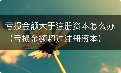 亏损金额大于注册资本怎么办（亏损金额超过注册资本）