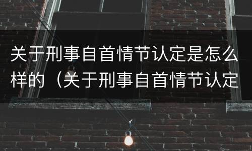 关于刑事自首情节认定是怎么样的（关于刑事自首情节认定是怎么样的规定）