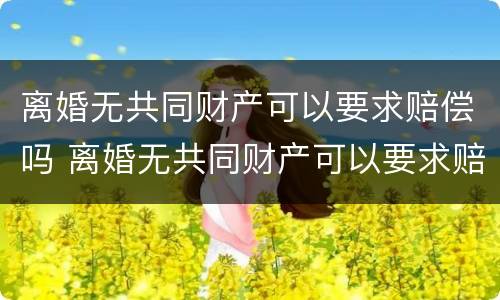 离婚无共同财产可以要求赔偿吗 离婚无共同财产可以要求赔偿吗法律