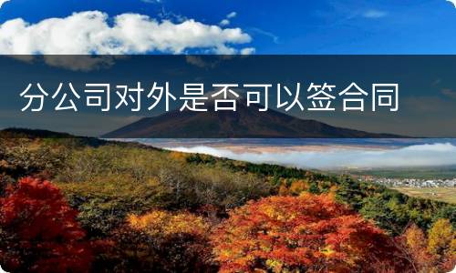 分公司对外是否可以签合同