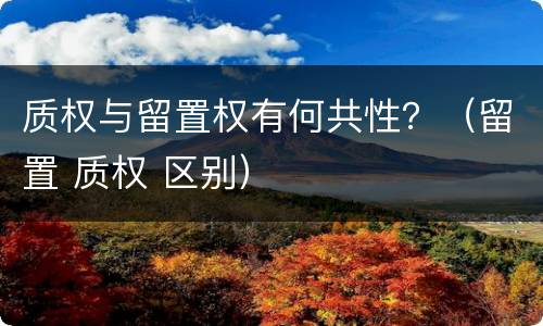 质权与留置权有何共性？（留置 质权 区别）