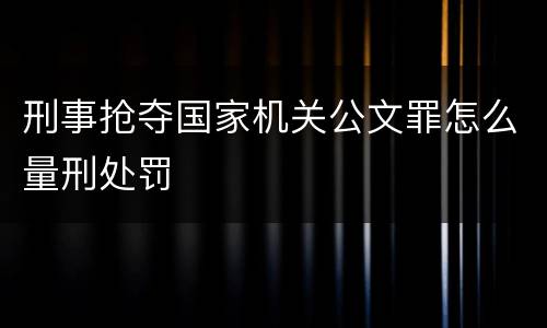 刑事抢夺国家机关公文罪怎么量刑处罚