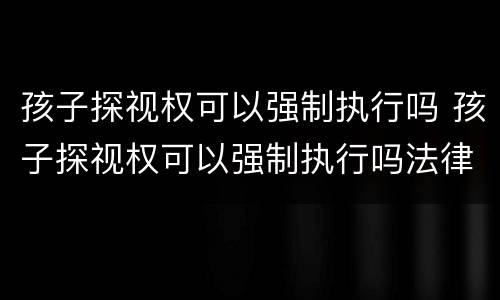 孩子探视权可以强制执行吗 孩子探视权可以强制执行吗法律