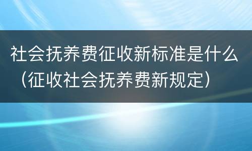 社会抚养费征收新标准是什么（征收社会抚养费新规定）