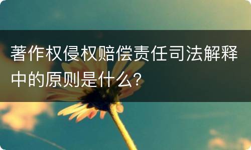 著作权侵权赔偿责任司法解释中的原则是什么？