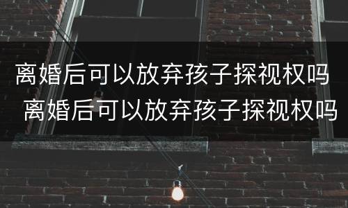 离婚后可以放弃孩子探视权吗 离婚后可以放弃孩子探视权吗法律规定