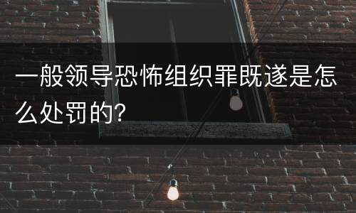 一般领导恐怖组织罪既遂是怎么处罚的？