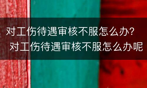 对工伤待遇审核不服怎么办？ 对工伤待遇审核不服怎么办呢