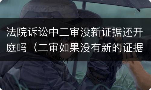 法院诉讼中二审没新证据还开庭吗（二审如果没有新的证据法院会改判吗）