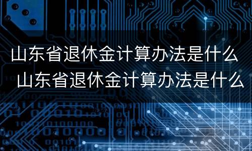 山东省退休金计算办法是什么 山东省退休金计算办法是什么规定