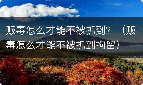 贩毒怎么才能不被抓到？（贩毒怎么才能不被抓到拘留）