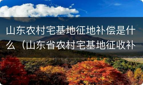 山东农村宅基地征地补偿是什么（山东省农村宅基地征收补偿标准）