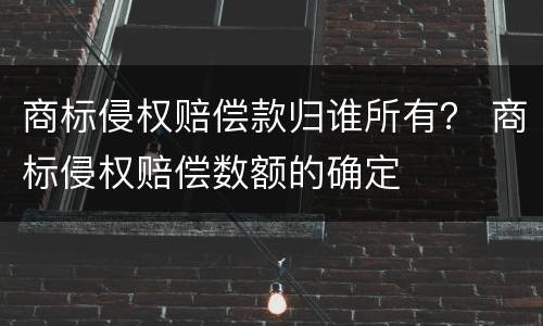 商标侵权赔偿款归谁所有？ 商标侵权赔偿数额的确定