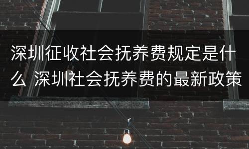 深圳征收社会抚养费规定是什么 深圳社会抚养费的最新政策