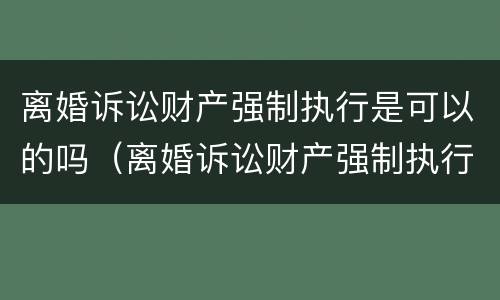 离婚诉讼财产强制执行是可以的吗（离婚诉讼财产强制执行是可以的吗怎么办）